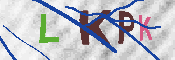 Kontrolní text