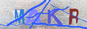 Kontrolní text